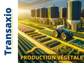 AV PME production et transformation de vegeteaux