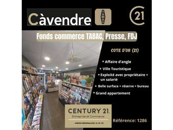 Vente tabac presse ville touristique Côte-d'Or