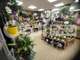 Cède fonds de commerce fleuriste 85m² Le Havre