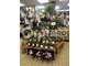 Cède fonds de commerce fleuriste 85m² Le Havre