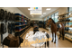 Cède magasin spécialisé dans l’équipement équestre