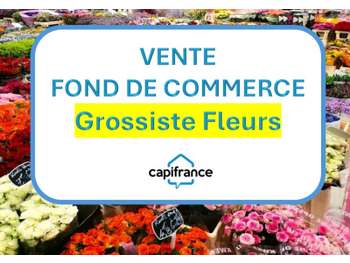 Vente FDC grossiste fleurs et plantes à Bastia