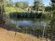 Dordogne exploitation laitière 80ha murs et fonds