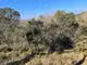 Var (83), à vendre GASSIN Terrain Agricole Zone