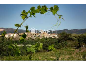 AV domaine viticole cave vignes à Latour de France