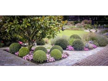AV FDC création et entretien jardin à Noirmoutier