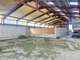 Vente exploitation ovin lait au coeur du Tarn