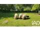 Vente cidrerie artisanale en Terres de Caux
