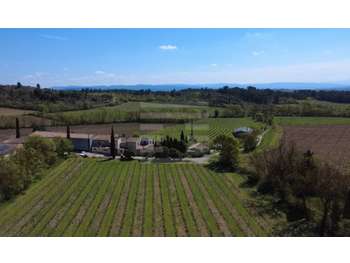 Vente propriété viticole de 12ha à Pennautier