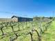 Vente propriété viticole de 12ha à Pennautier