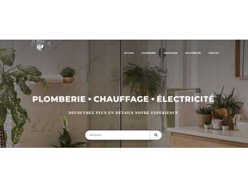 Vente activité plomberie électricité en ZA 79