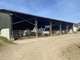 Vente exploitation viticole beaujolaise elevage 69