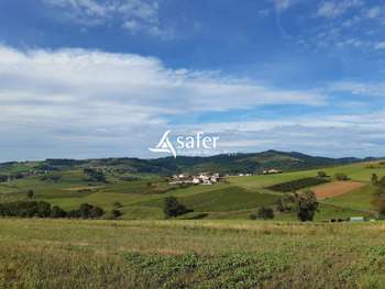 Vente exploitation viticole beaujolaise elevage 69