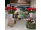 Vente FDC fleuriste lumineux à Saint Gilles
