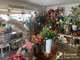 Vente fleuriste angle rue centre-ville Martigues