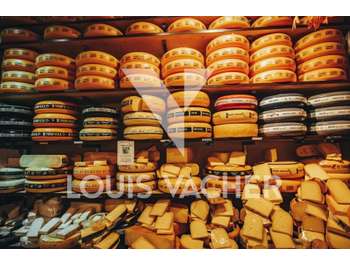 Fromagerie épicerie à céder à Bordeaux