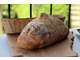 Vend fonds de commerce boulangerie Pays de Lorient