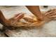 Vend fonds de commerce boulangerie Pays de Lorient