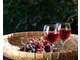 A vendre cave et resto midi Calvados EBE 111k€