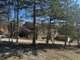 À vendre camping 4 **** FDC et TERRAIN 7HA Drôme