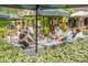Vente magnifique parc de vacances Lot-et-Garonne