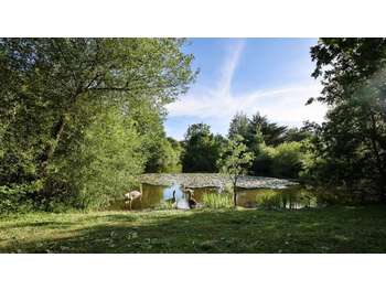 Exclusivité FDC camping *** au vert dans la Vienne