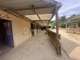 Vente fonds poney-club 6,8ha Charmes-sur-Herbasse