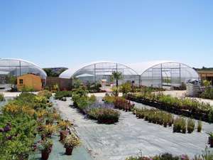 Vente  Entreprise  Agriculture - Viticulture SAINT-SAVIN