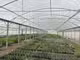 Exploitation horticole à céder à Sandillon
