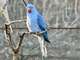 Vente parc animalier en Sud Ardèche