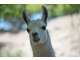 Vente parc animalier en Sud Ardèche