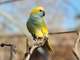 Vente parc animalier en Sud Ardèche