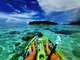 Vente activité nautiques à Moorea en Polynésie