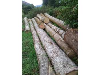 Cession fabrication de manches d'outils en Savoie