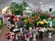 Boutique Fleuriste à vendre dans ville dynamique