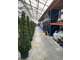 Serres proche Paris