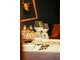 AV Restaurant et hôtel ** Sur la Voie Sacrée