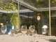 RESTAURANT – MURS & FONDS - BOUC-BEL-AIR
