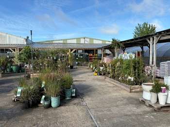 Jardinerie historique et indépendante à potentiel