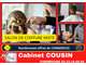 Vente salon de coiffure mixte côte touristique 50