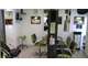 Vente salon de coiffure mixte en Salanque