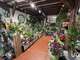 Vente boutique de fleurs à Lacroix-Saint-Ouen