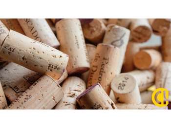A vendre FDC cave à vin à Lyon centre