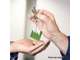 Parts sociales entreprise enveloppes thermiques