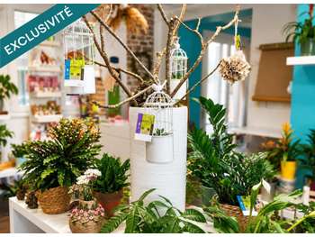 Opportunité commerciale au cœur de Pompignan