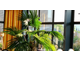 Vente FDC restaurant zone commerciale 26