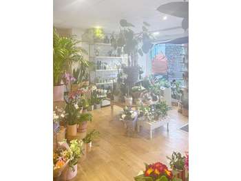 Vente superbe fleuriste en centre ville de Rosoff