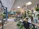 Vente FDC boutique fleurs, plantes à Sarreguemines