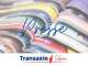 Tabac presse FDJ à vendre secteur Epinal