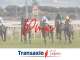 Vente FDC tabac presse PMU FDJ à Phalsbourg (57)